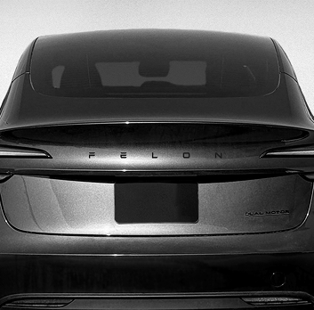 FELON Tesla Badge – Matte Black or Chrome 3D Emblem | Fits Model 3/Y/S/X
